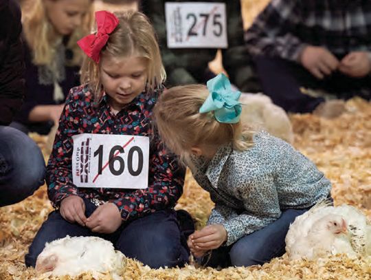 STOCK SHOW SEASON IS UPON US!